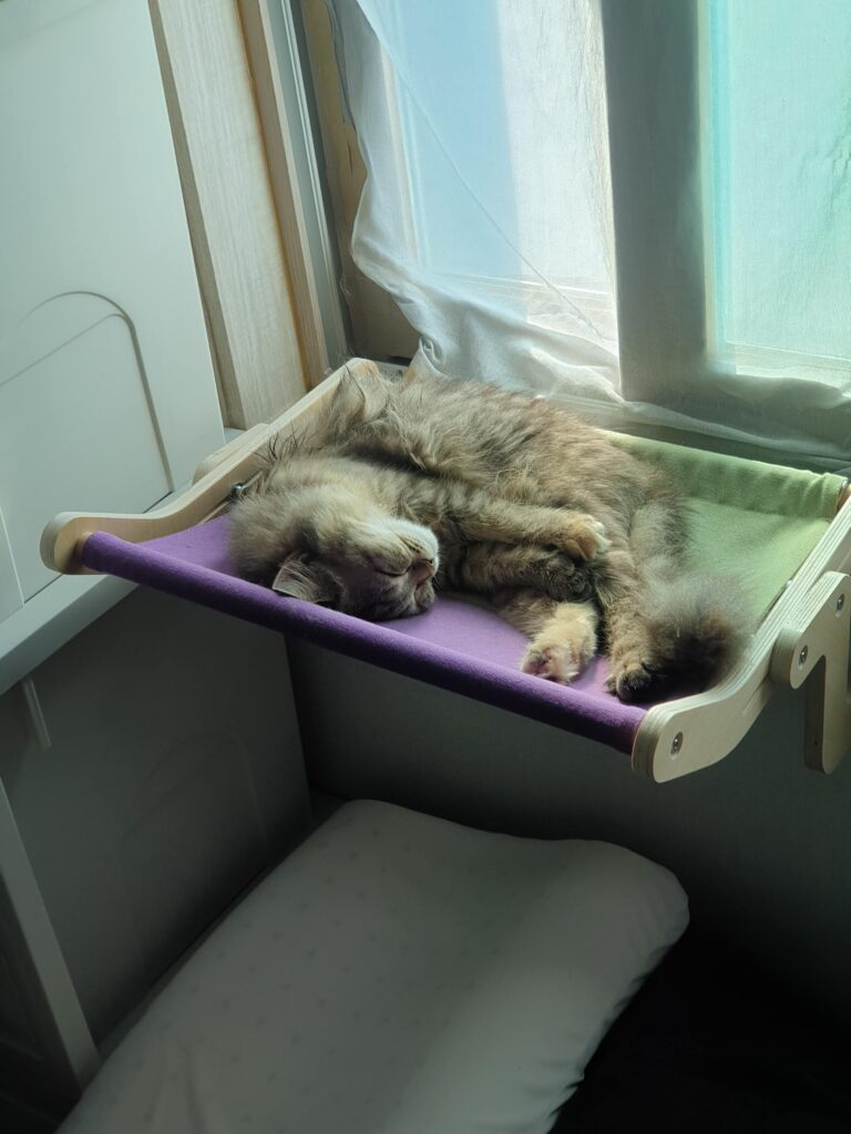 어릴때산타모습